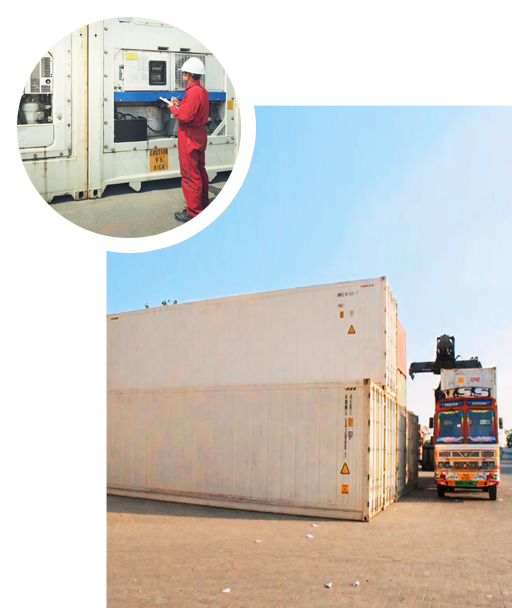 Vibrant Shipping Services